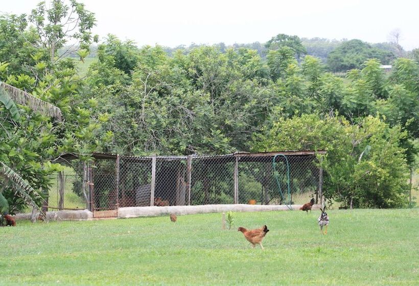 Отель Hacienda Doña Carmen
