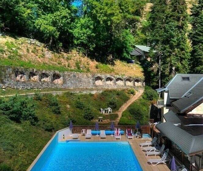 Отель Hôtel Les Chalets