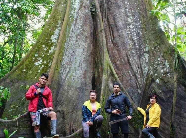 هتل Jacamar Lodge Expeditions