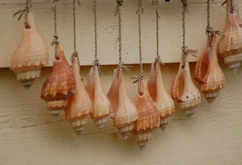 فندق Lelymare Logies