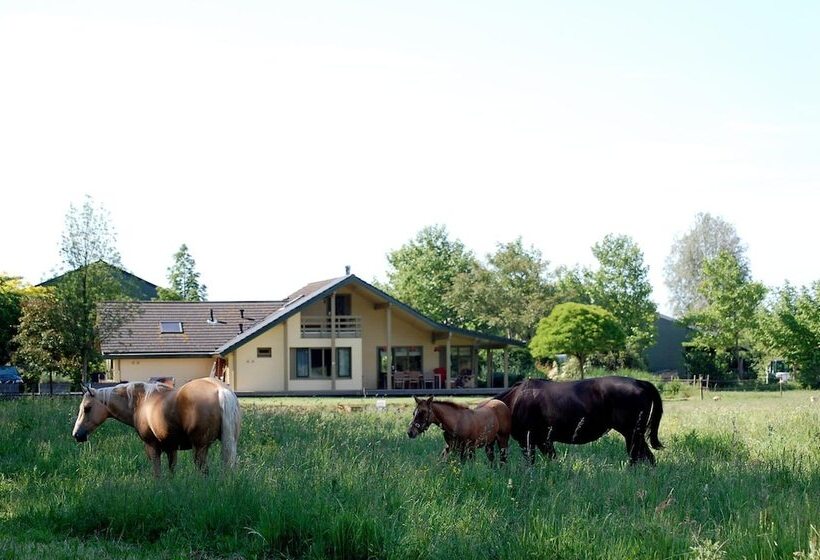 فندق Lelymare Logies