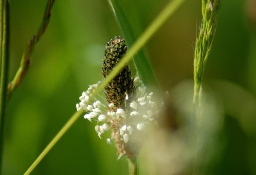 فندق Lelymare Logies