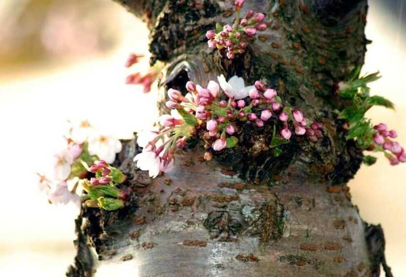 فندق Lelymare Logies