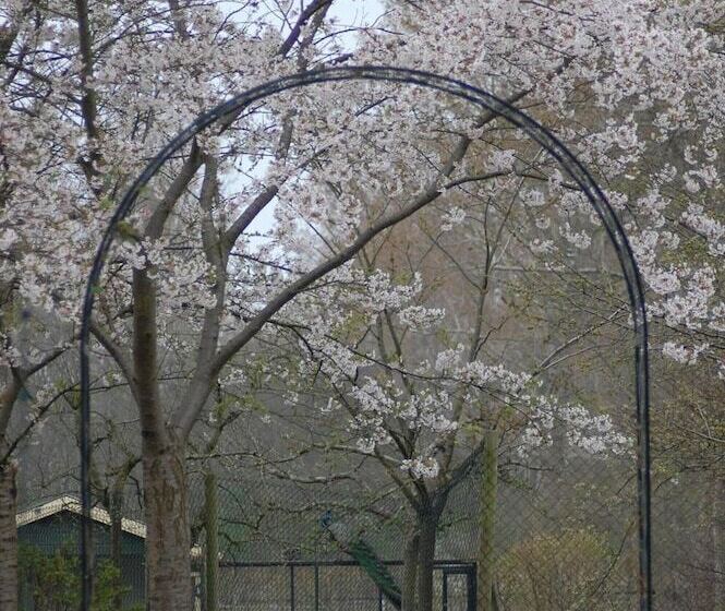 فندق Lelymare Logies