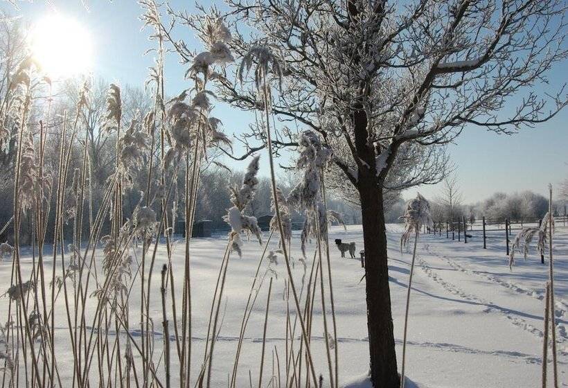 فندق Lelymare Logies