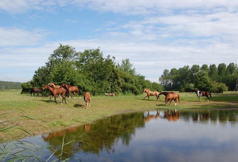 فندق Lelymare Logies