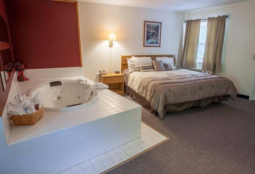 酒店 Maggie Valley Creekside Lodge