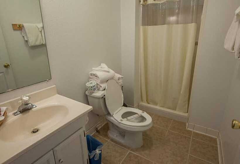 酒店 Maggie Valley Creekside Lodge