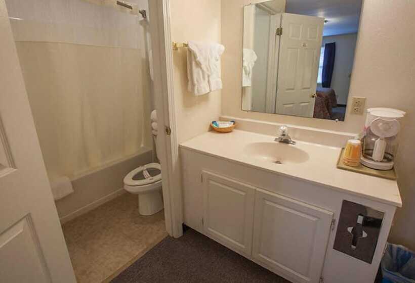 酒店 Maggie Valley Creekside Lodge