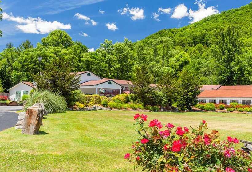 酒店 Maggie Valley Creekside Lodge