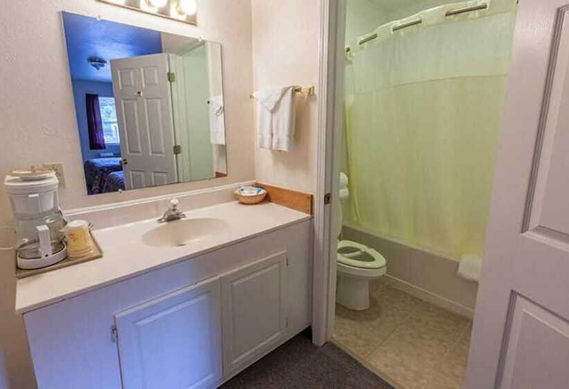 酒店 Maggie Valley Creekside Lodge