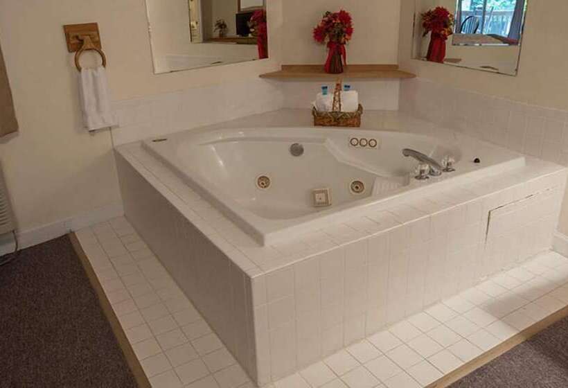 هتل Maggie Valley Creekside Lodge