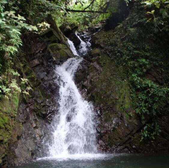 فندق Pacuare River Lodge