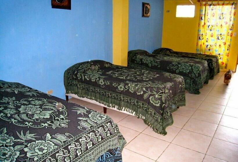 호텔 Panama Divers & Octopus Garden Dive Center