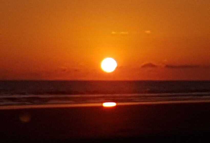 فندق Paradise Inn