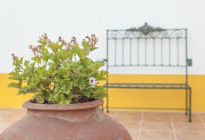 هتل روستایی Agro Turismo Do Roxo