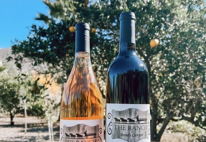 Сельский отель Bandy Canyon Ranch