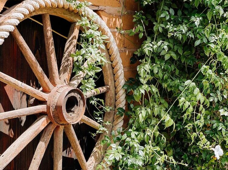 هتل روستایی Bandy Canyon Ranch