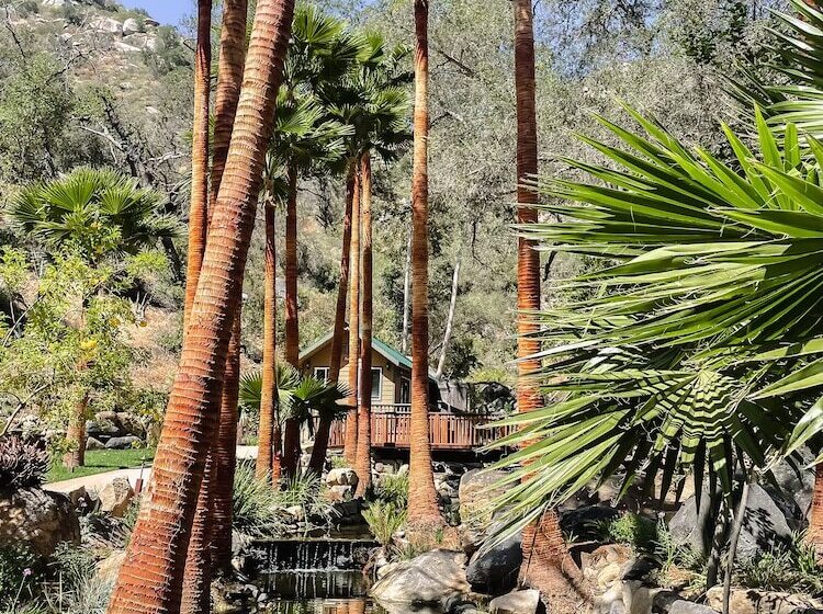 Сельский отель Bandy Canyon Ranch