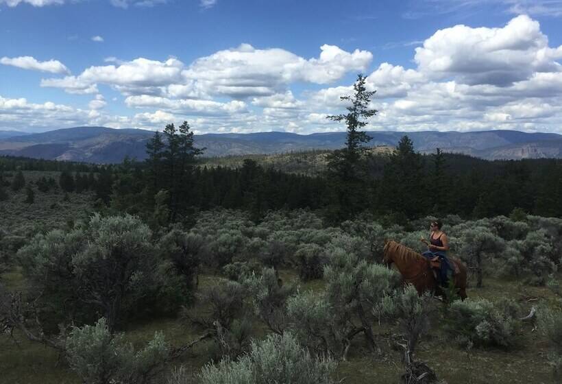 乡村酒店 Yd Guest Ranch