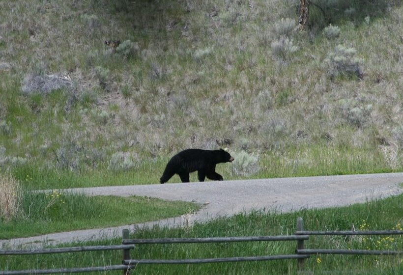 乡村酒店 Yd Guest Ranch