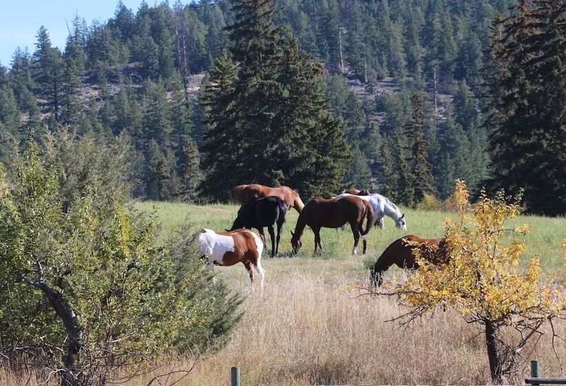 乡村酒店 Yd Guest Ranch