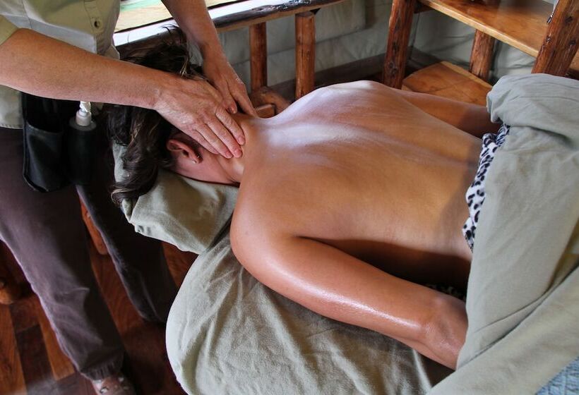 فندق Safari West