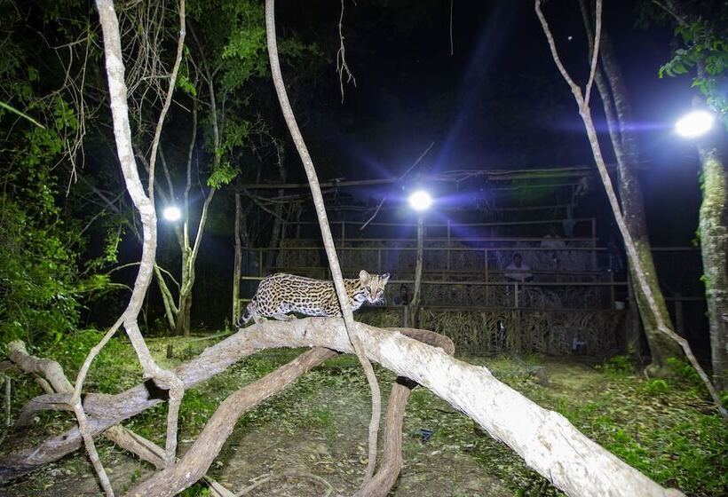 فندق Southwild Pantanal Lodge