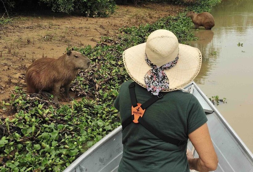 فندق Southwild Pantanal Lodge