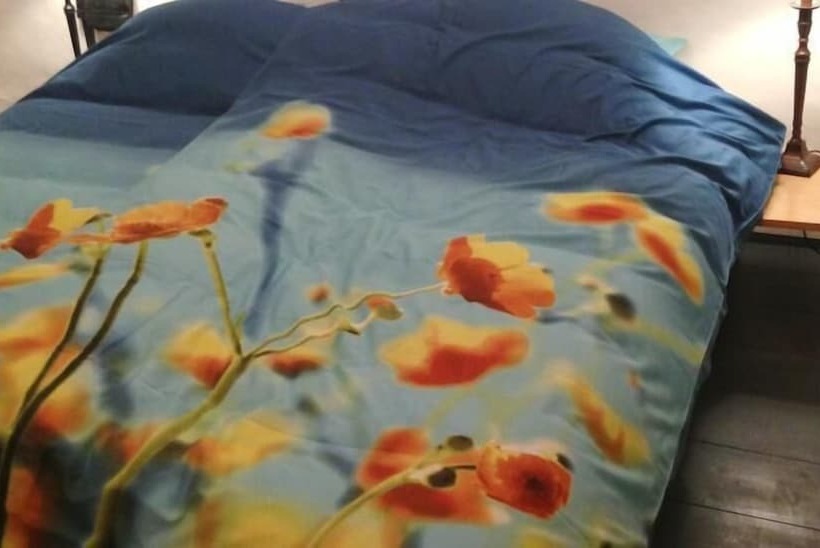 فندق Spaarnedroom