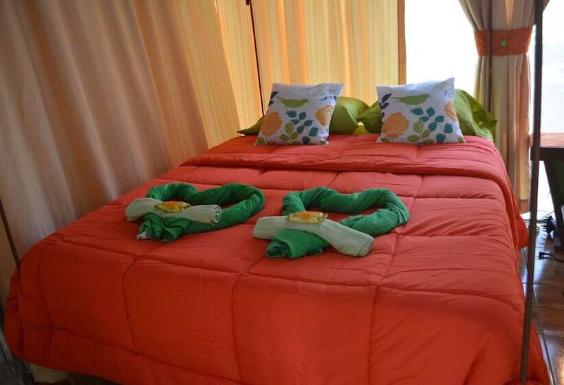 בית מלון כפרי Tortuguero Jungle