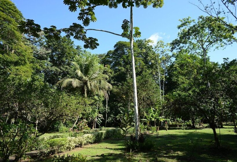 בית מלון כפרי Tortuguero Jungle
