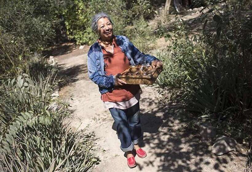 هتل Wasipunko Nasca