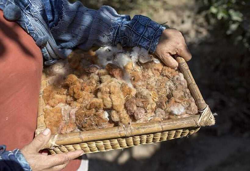 هتل Wasipunko Nasca