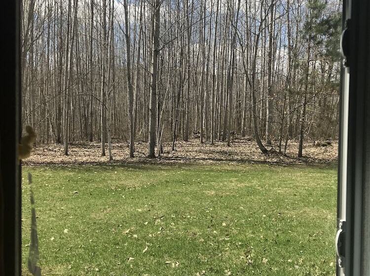 Hush Lodge And Cottages