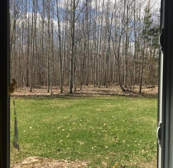 Hush Lodge And Cottages