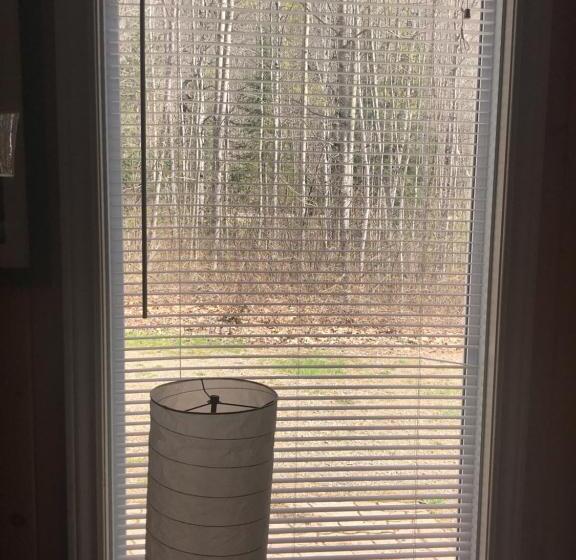 Hush Lodge And Cottages