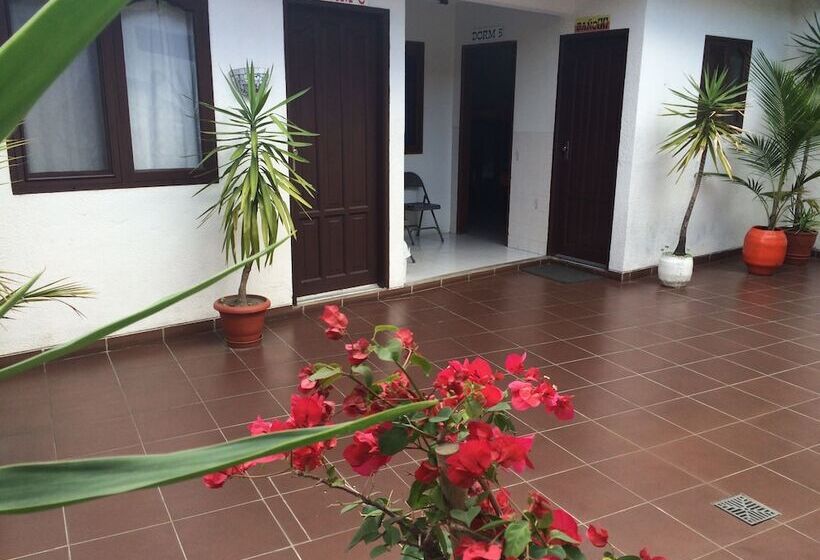 Jodanga Backpackers Hostel