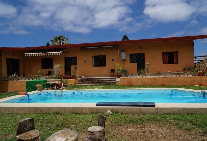 Lagarto Backpackers Hostel