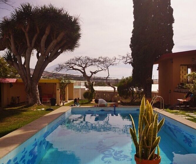 Lagarto Backpackers Hostel