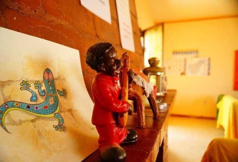 Lagarto Backpackers Hostel