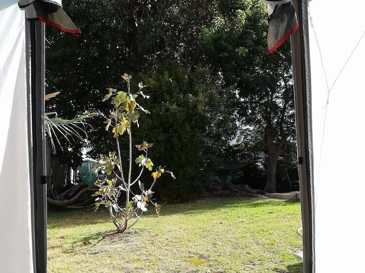 Lagarto Backpackers Hostel