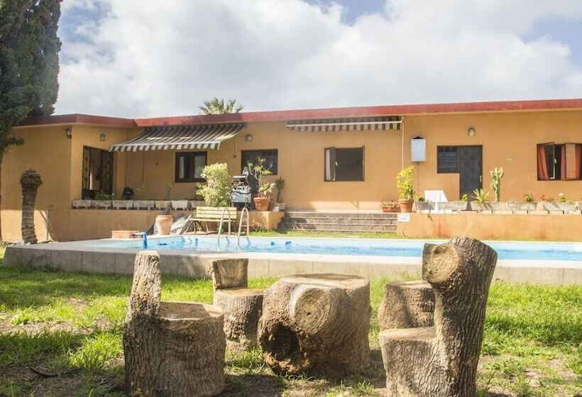 Lagarto Backpackers Hostel