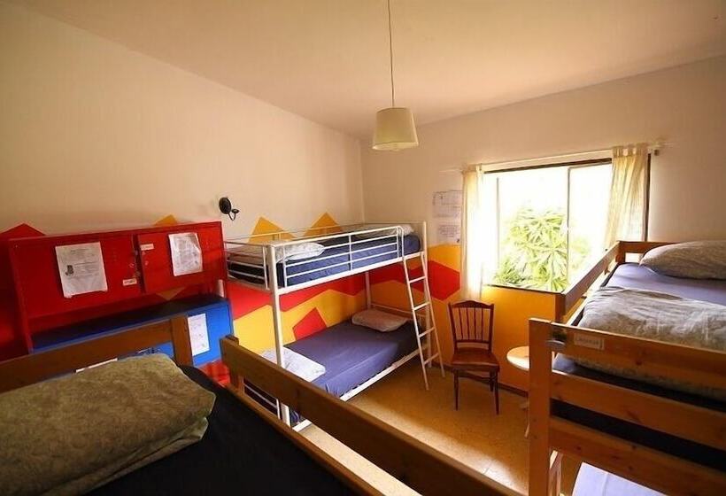 Lagarto Backpackers Hostel