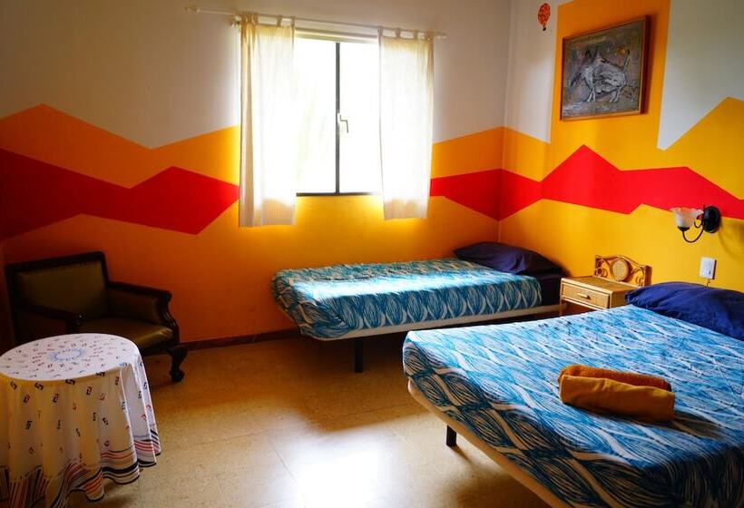 Lagarto Backpackers Hostel