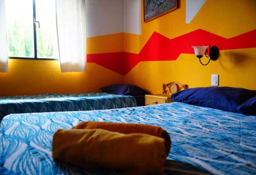 Lagarto Backpackers Hostel
