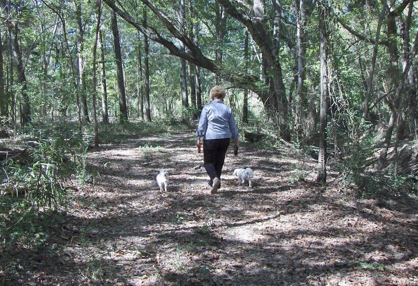 Mill Creek Ranch Resort