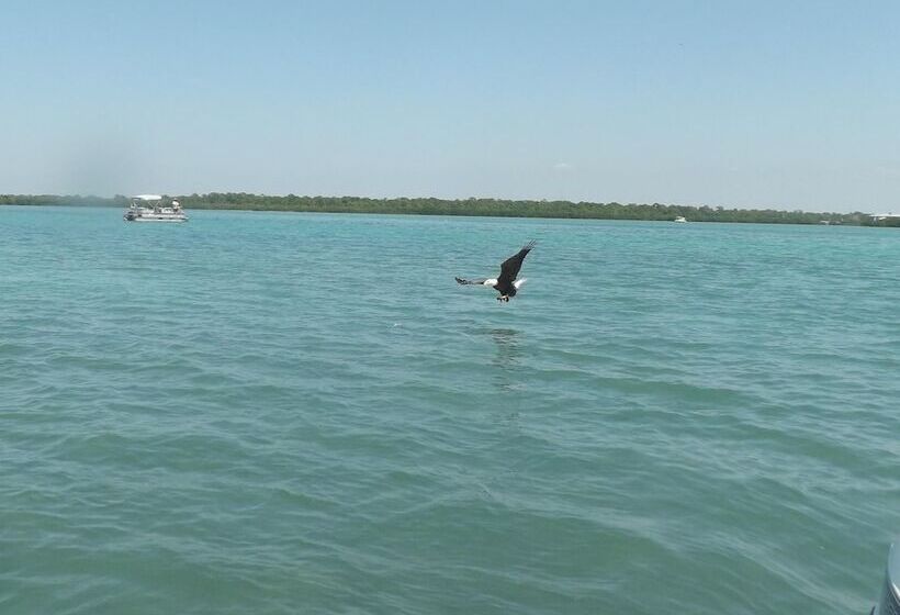 فندق على الطريق Sun Life Beach