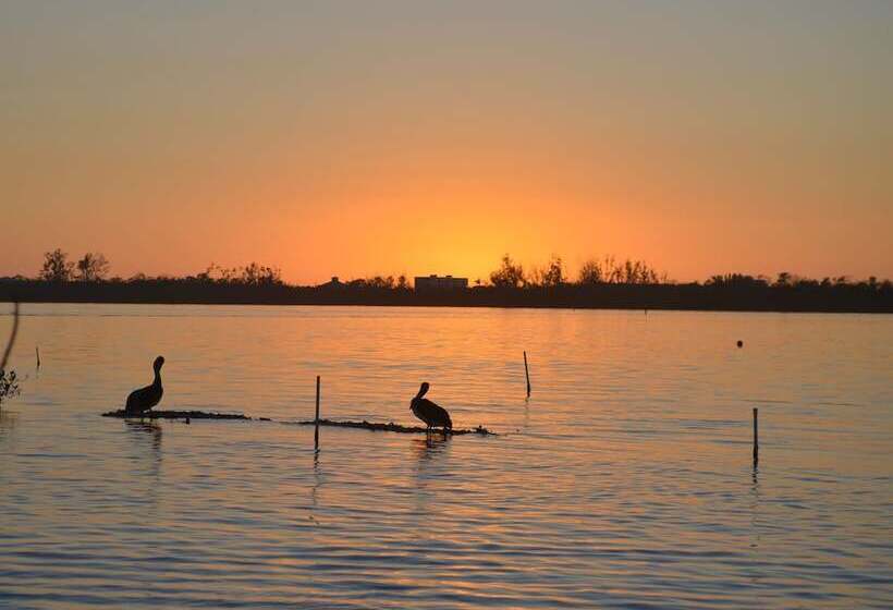 فندق على الطريق Sun Life Beach