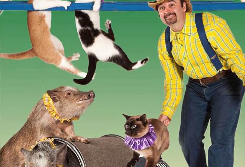 Mountain Majesty 2 Br Cabin By Redawning